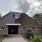 Verwijder mos en voorkom schade